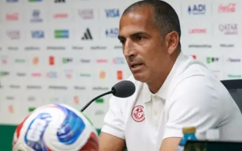 Sabri Lamouchi fue despedido tras la goleada sufrida ante Suecia