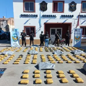 Sorpresas en las rutas de Salta: Un control rutinario se convirtió en un megaoperativo con el secuestro de más de 205 kilos de cocaína