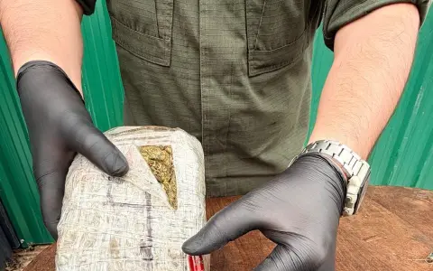 268 kilos estupefacientes-  oran- 