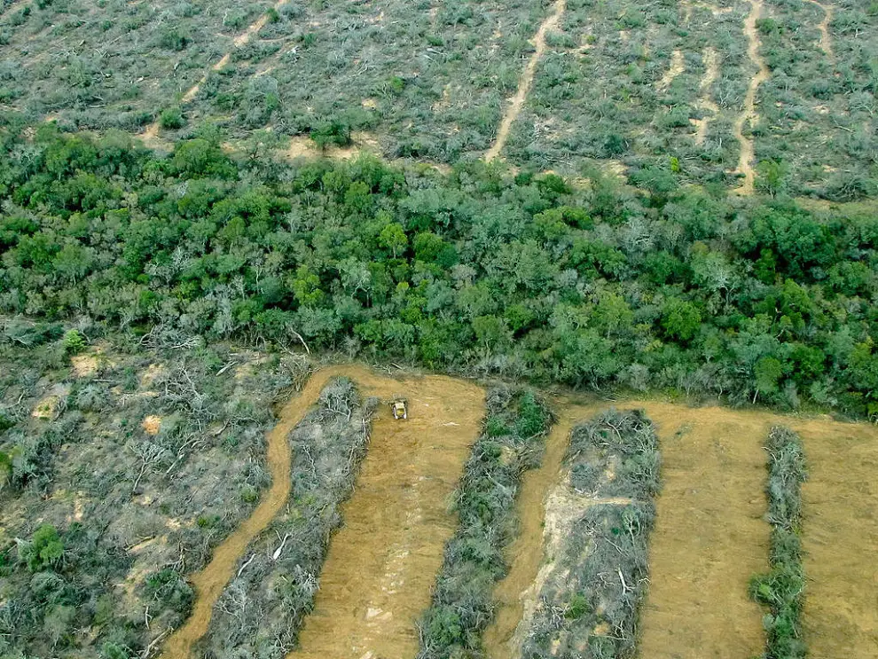 Salta Forestal La Bomba Paraje Puesto Policial