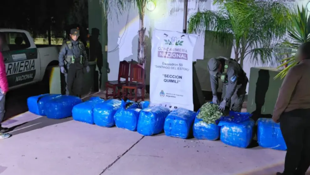 Incautan 768 kilos de hojas de coca que viajaban desde Orán a Buenos Aires