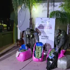 Incautan 768 kilos de hojas de coca en un tour de compras que partió de Orán