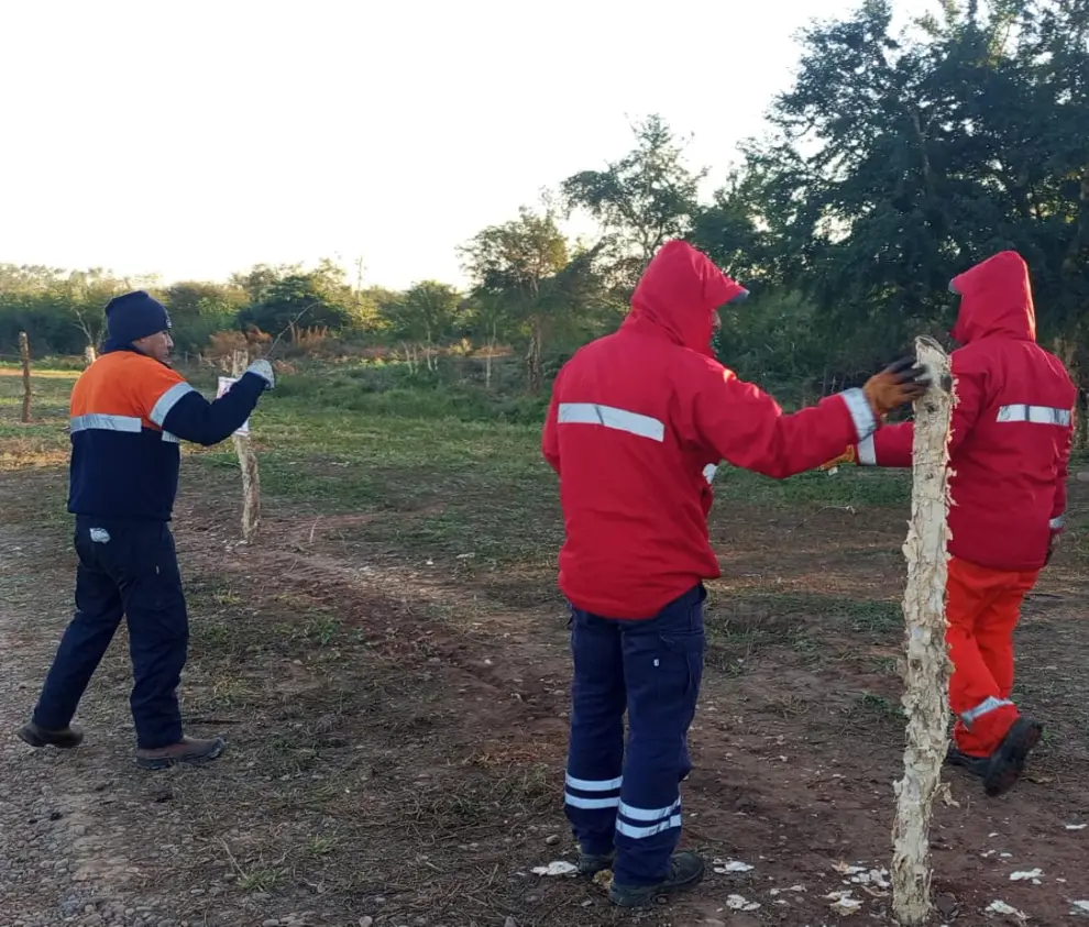 Empleados de Vialidad Nacional en Salta, sacando el perímetro ilegal sobre la RN 50.