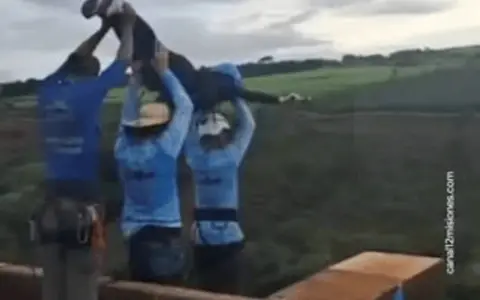 Joven brasileña arrojada al vacío sin arneses de seguridad.