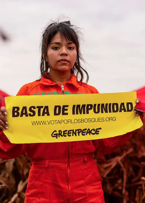 Greenpeace bosques nativos Salta