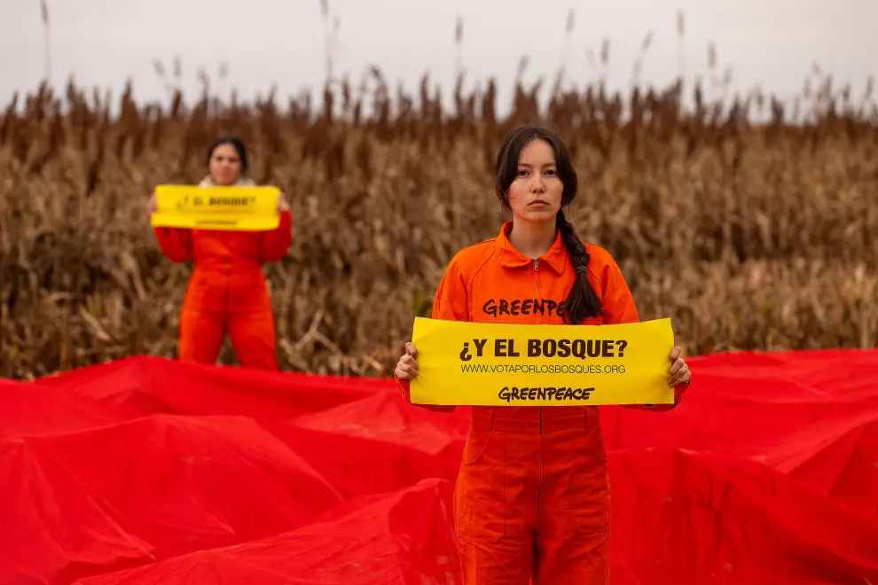 Greenpeace bosques nativos Salta