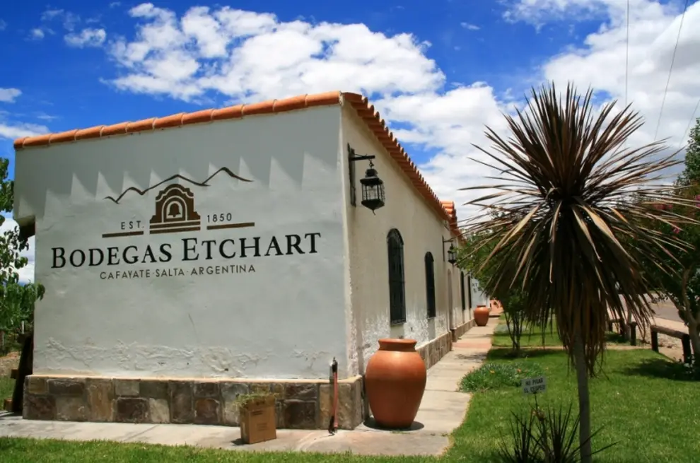 Bodega que inició su proceso en 1850.