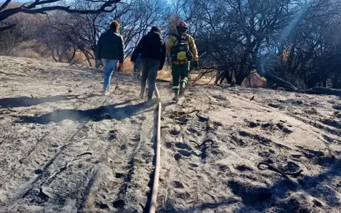 El día después de los incendios en Cafayate (Foto: Ministerio Público Fiscal)