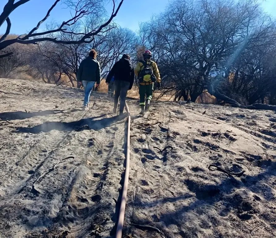 El día después de los incendios en Cafayate (Foto: Ministerio Público Fiscal)