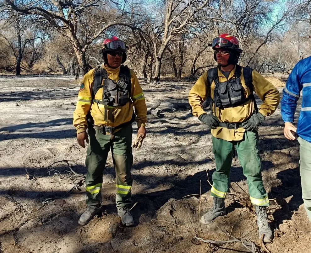 El día después de los incendios en Cafayate (Foto: Ministerio Público Fiscal)