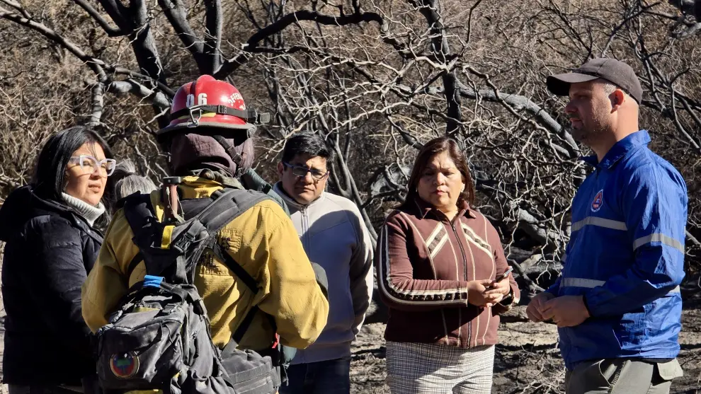 El día después de los incendios en Cafayate (Foto: Ministerio Público Fiscal)