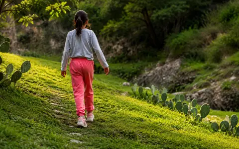 Convocatoria nacional para la adopción de una niña de Orán