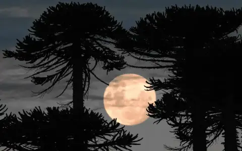 Luna fresa
