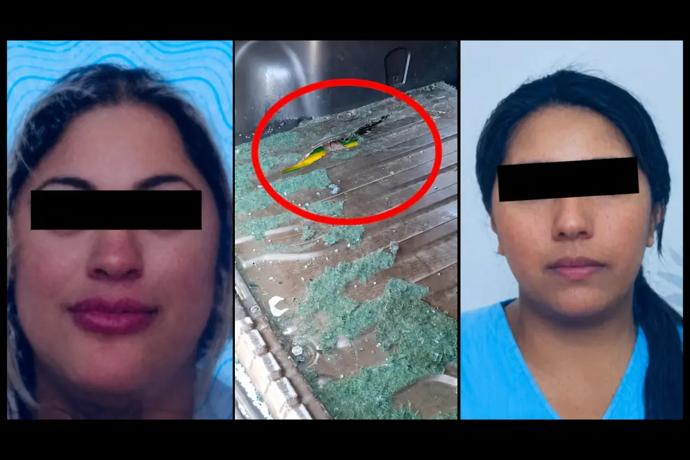 Una médica de Gendarmería y una cosmetóloga fueron detenidas con 70 kilos de cocaína
