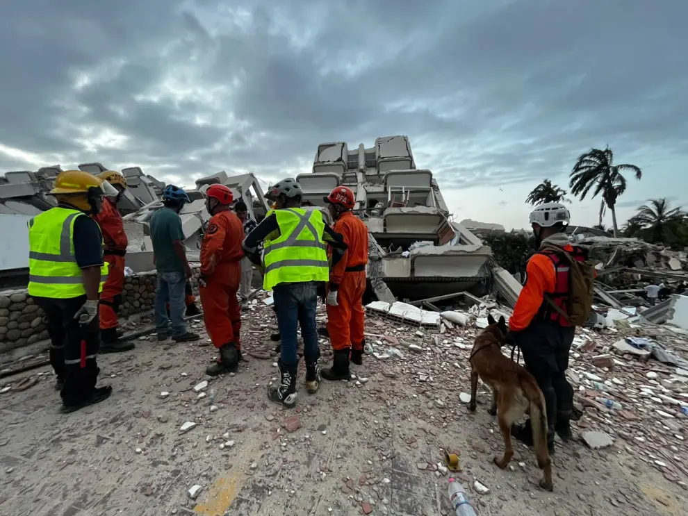 Bart, el perro argentino héroe que halló a dos nenes con vida bajo los escombros en Venezuela