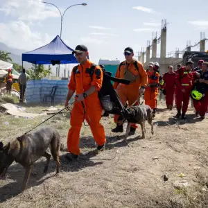 Venezuela: hay por lo menos seis argentinos entre las víctimas fatales y ya se registraron más de 400 replicas de sismos