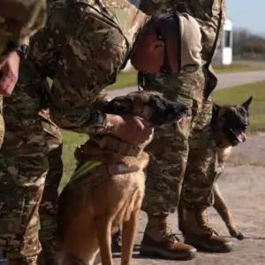 Cosas de perros: Jack y Derek se suman a la misión humanitaria argentina en Venezuela 