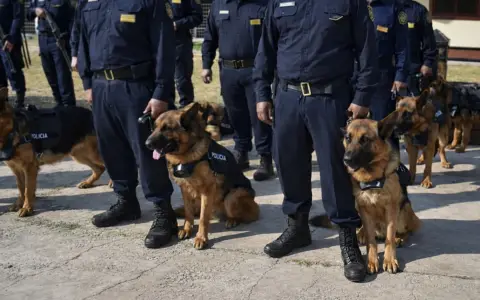 Division canes de la policía de Salta 