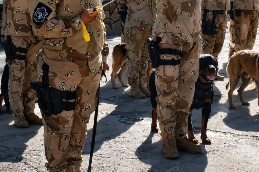 Division canes de la policía de Salta 