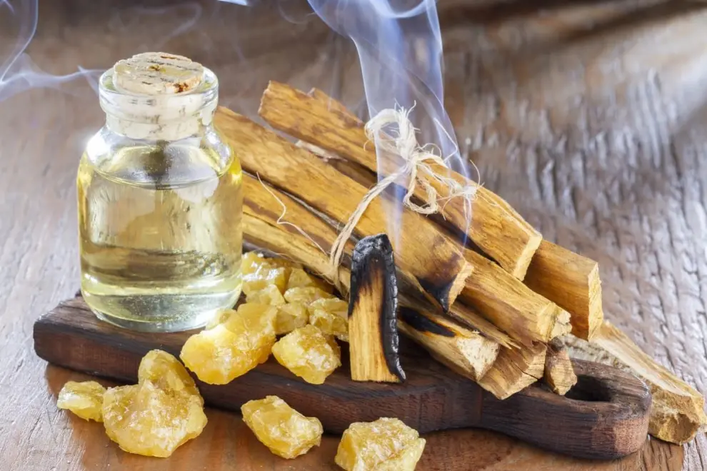 Palo Santo selección