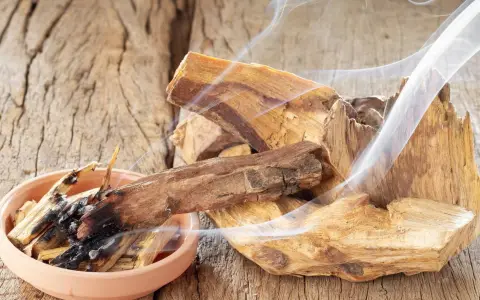Palo Santo 

