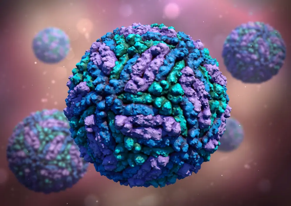 El DENV-3 es uno de los cuatro serotipos del virus del dengue