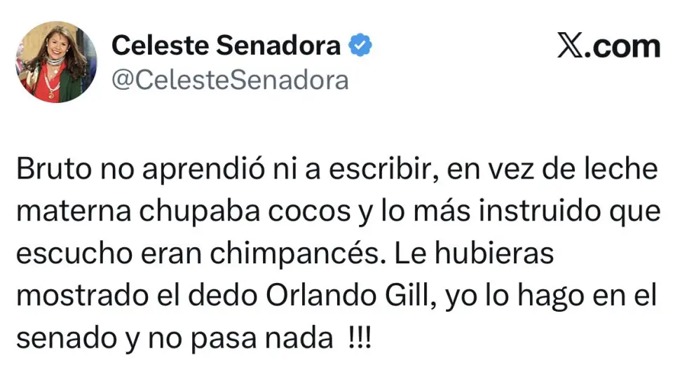 Otro fragmento de la desagradable catarata de posteos de la funcionaria pública paraguaya Celeste Amarilla.