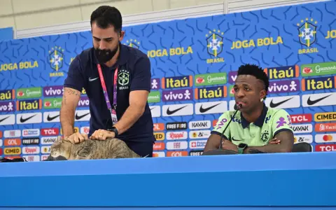 El gato que había sido retirado de manera violenta por el jefe de prensa del seleccionado brasileño en Qatar 2022.