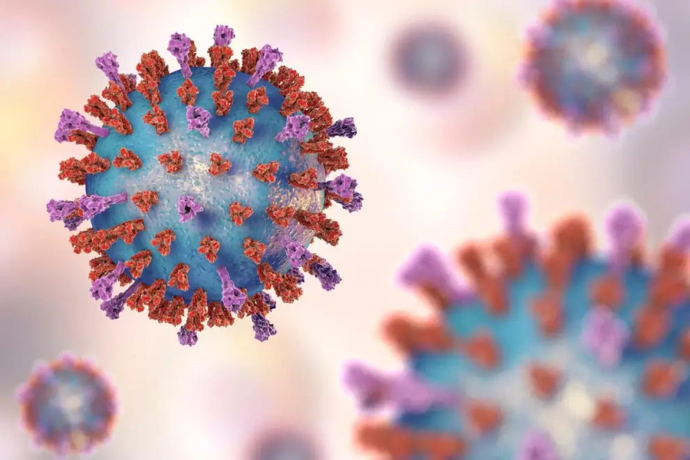 Virus Sincicial Respiratorio