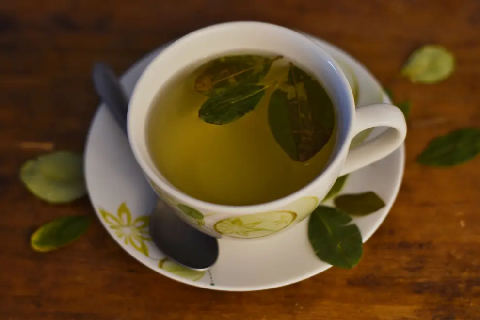 Hoja de coca