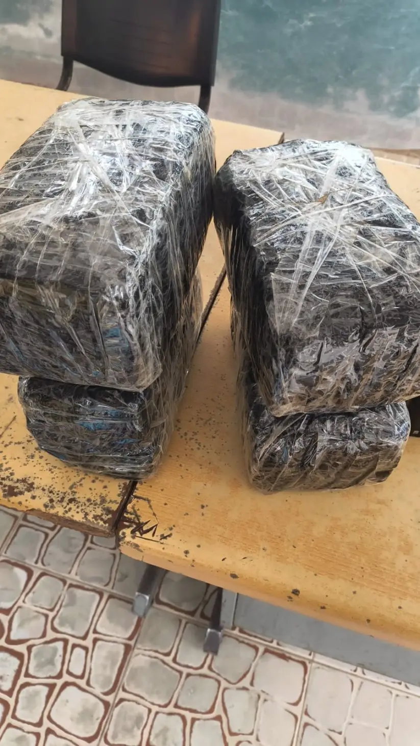 Secuestro de marihuana en Orán.