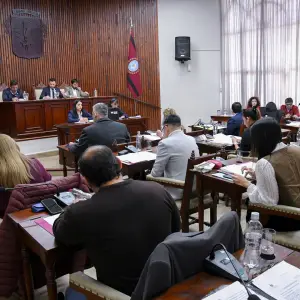 Desde Salta piden bajar el precio de los combustibles: Concejales instan al Norte Grande y al Congreso trabajar en un nuevo régimen federal
