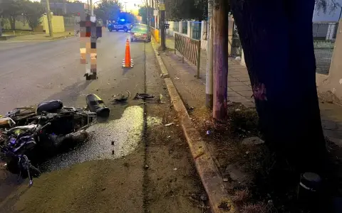 Siniestro vial contra un árbol (Imagen Ilustrativa)