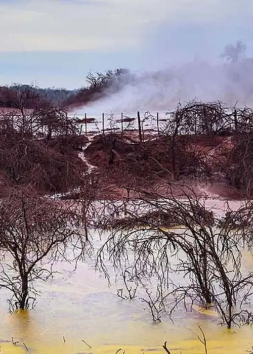 Lomas de Olmedo