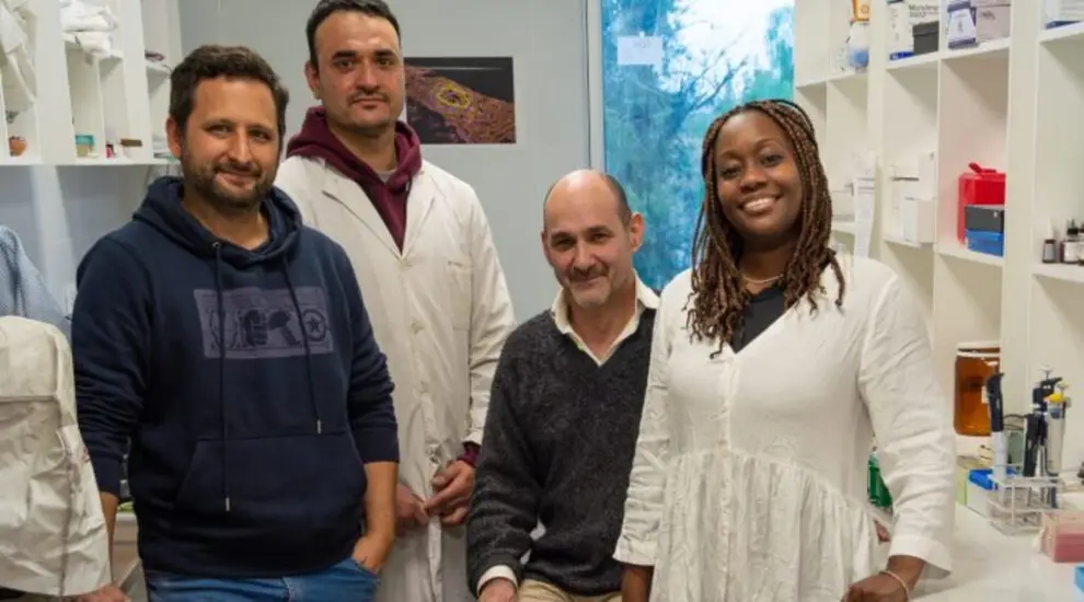 Un estudio de científicos del Conicet identifica una estrategia alternativa para el tratamiento del dolor