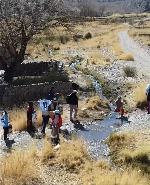 el rosal1