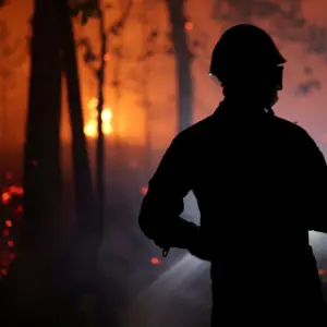 Incendio Forestal