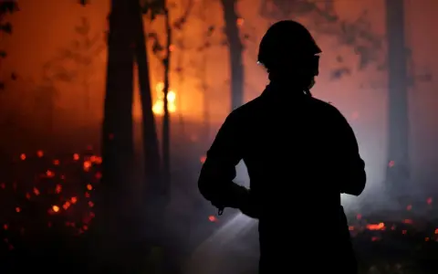 Incendio Forestal