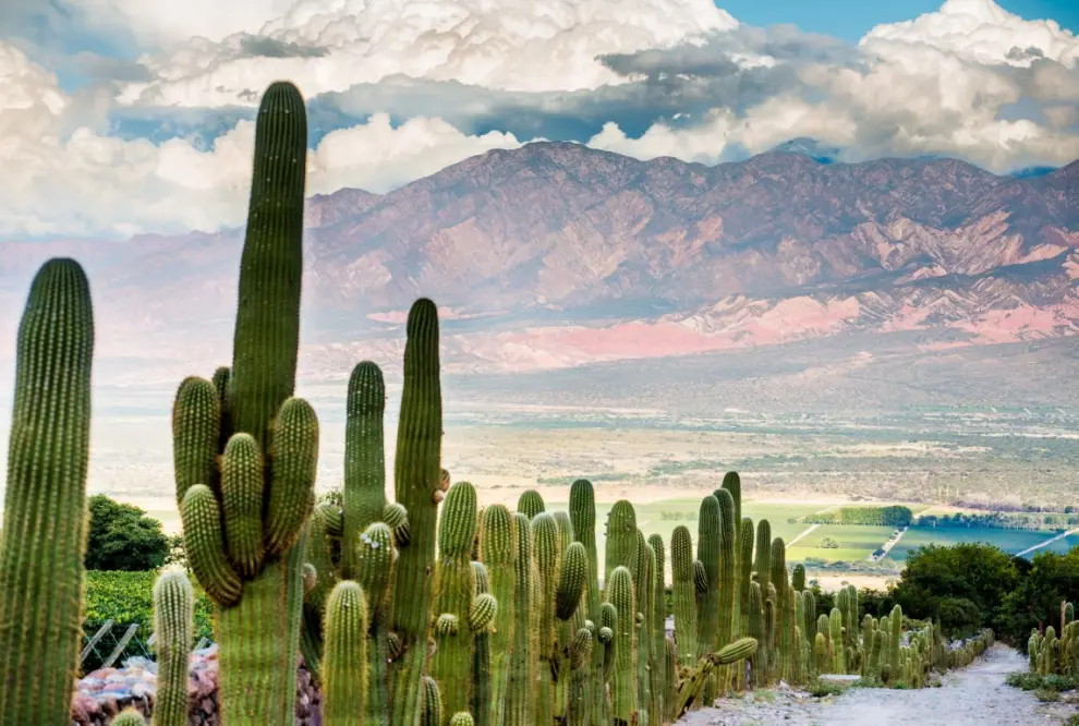 Salta naturaleza