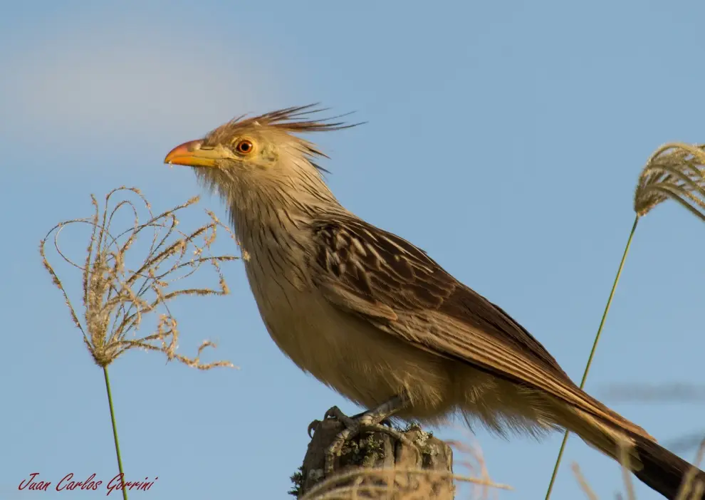 Salta naturaleza