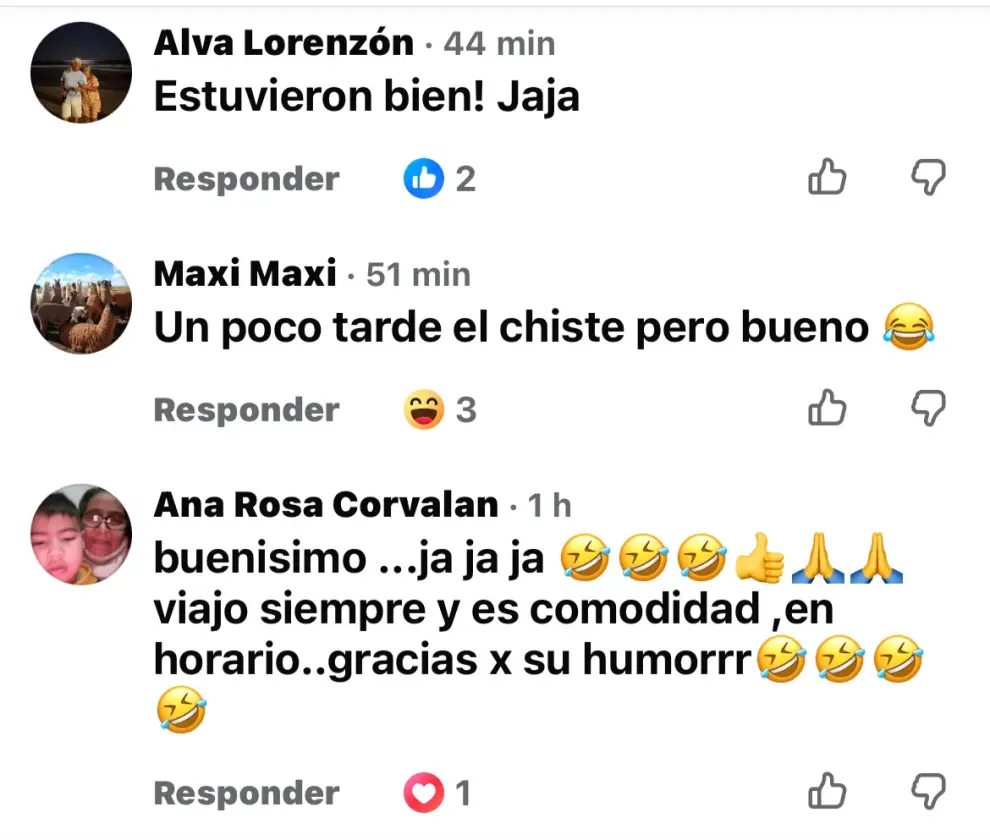 Comentarios al posteo de Flecha Bus