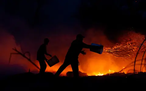 Incendios en Salta 