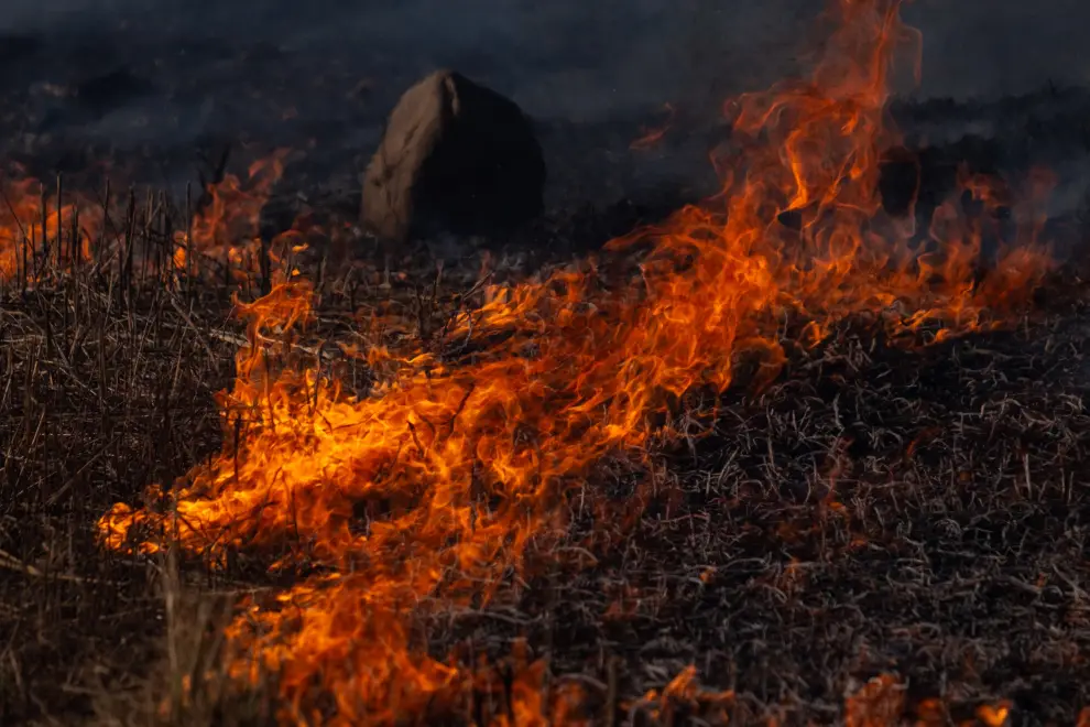 El fuego avanza en minutos - (Foto: Javier Corbalán)