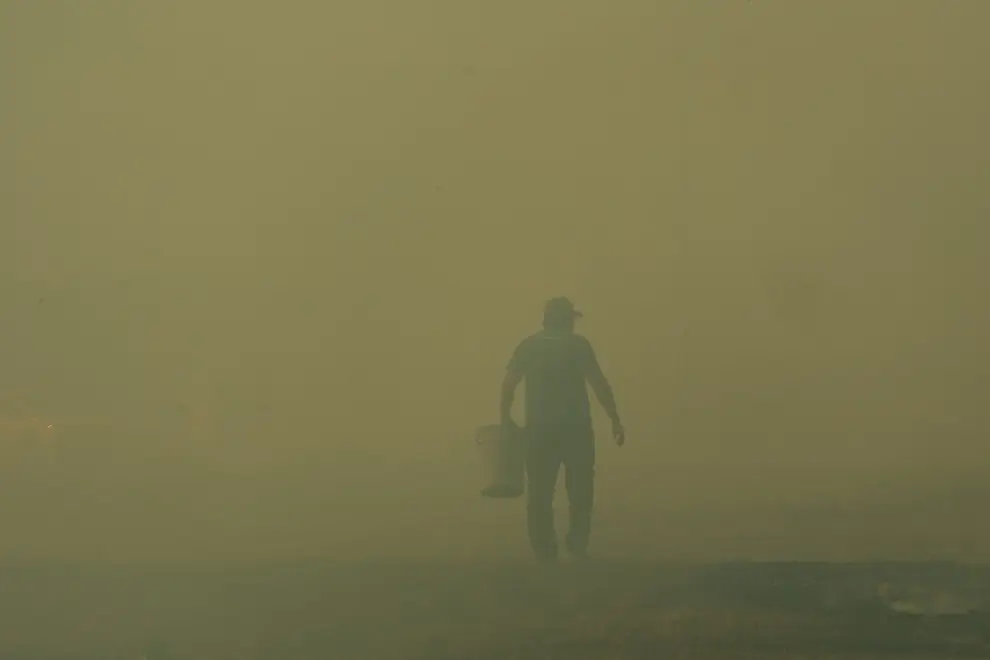 El fuego avanza hacia barrio Mi Refugio en la zona de San Luis. Los vecinos intentan sofocar las llamas por sus propios medios