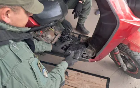 Adapto 10 kilos de cocaina dentro de una motodetenido (4).