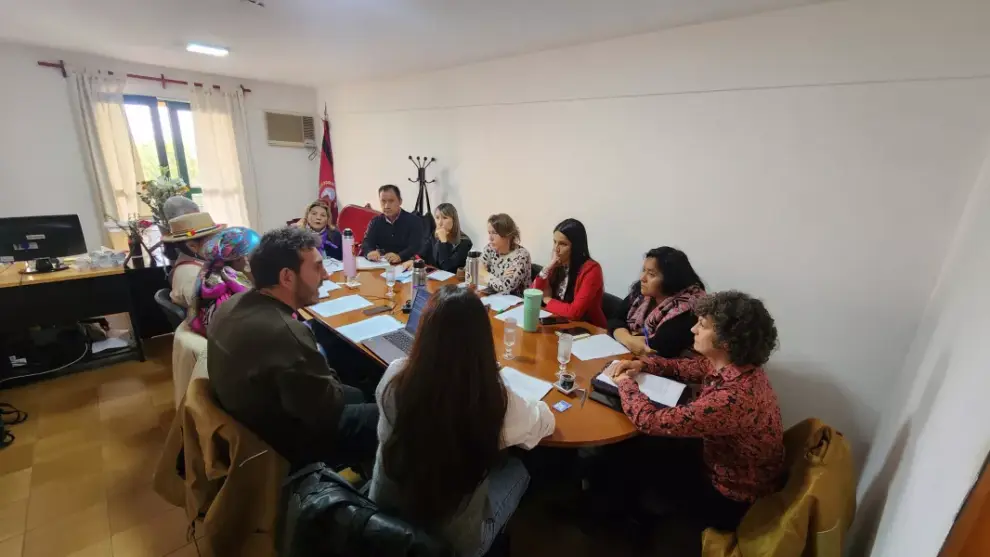 Reunión para la reglamentación - (Foto: Gobierno de Salta)