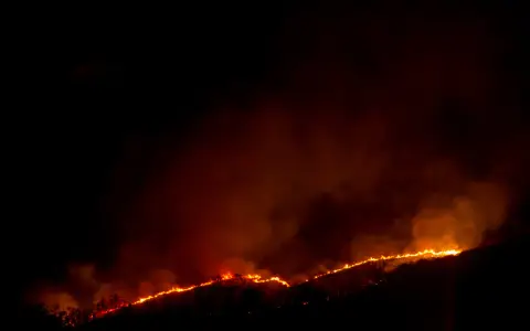 Salteño murió mientras intentaba que el fuego no arrase con su precaria vivienda 