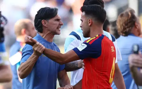 El Ratón Ayala, del cuerpo técnico de la Selección, en el foco de la FIFA tras la riña del final del partido entre Argentina y España.