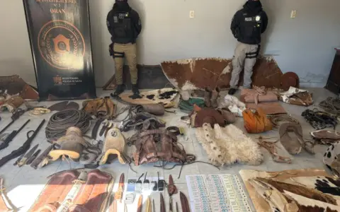 Elementos secuestrados por los investigadores.