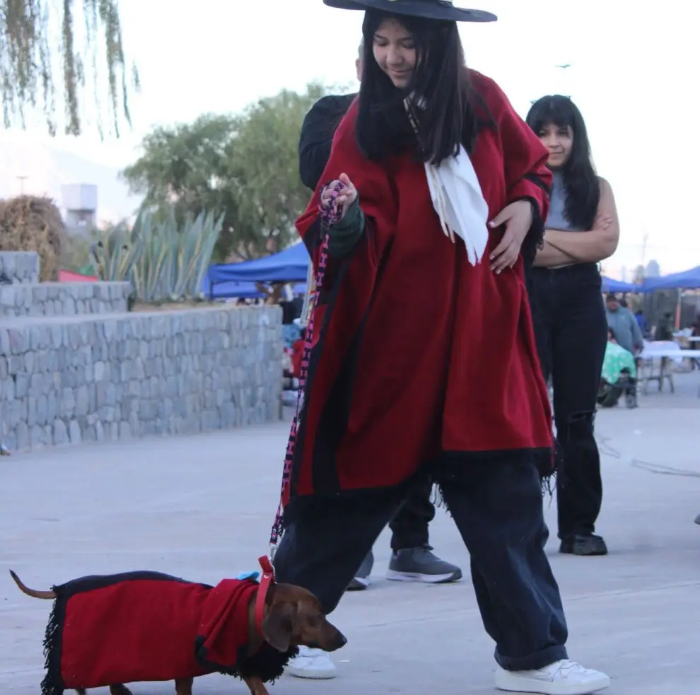 Un perro salchicha y su dueña con el poncho salteño
